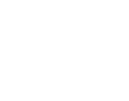 Named Chain to Watch (C-Store Decisions in 2017)